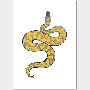 Yellow Python Posters and Art